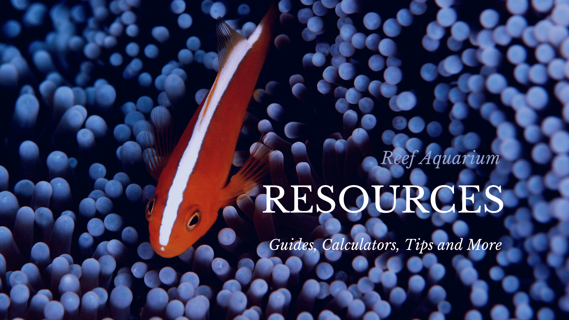 Reef Aquarium Resources